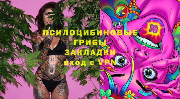 spice Армянск
