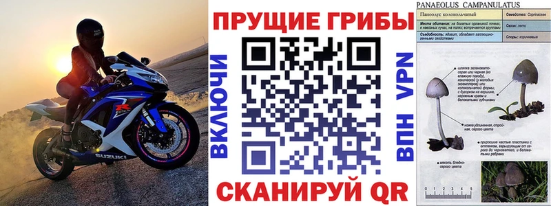 Псилоцибиновые грибы MAGIC MUSHROOMS  shop как зайти  Беломорск 
